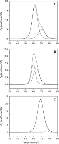 Figure 6. Influence of extension arm on the thermal transition of HexaPEGylated albumin. Scanning microcolorimetry has been used to generate the thermal transition curves. Deconvoluted curves for the experimentally generated transition curves are also shown. A: Control HSA; B: EAF-P5K6-HSA; and C: TCP P5K6-HSA.