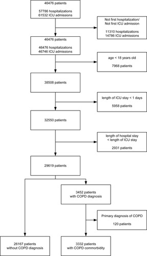 Figure 1 Flow chart of the study participants.