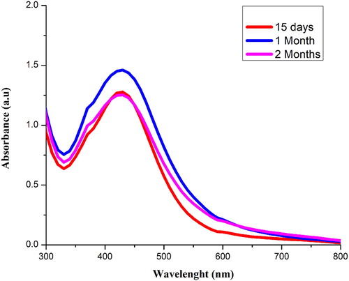 Figure 6. Stability of synthesized Sq-AgNPs at different duration of time.