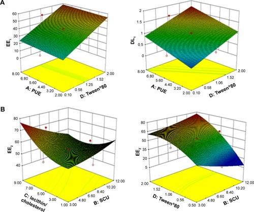 Figure 1 Three-dimensional response surface plots for EE and DL.Notes: (A) Response surface plot showing the effect of the amount of PUE (X1) and Tween®80 (X4) on the EE and DL of PUE (EE1, DL1). (B) Response surface plot showing the effect of the amount of SCU (X2), Tween®80 (X4), and SCU (X2), lecithin/cholesterol (X3) on the EE of SCU (EE2).Abbreviations: PUE, puerarin; SCU, scutellarin; EE, entrapment efficiency; DL, drug loading.