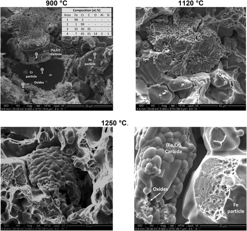 Figure 3. SEM images of the fracture surface of Fe-4.0Cr-0.5C compacts sintered in Ar at 900, 1120 and 1250°C for 1 hr.