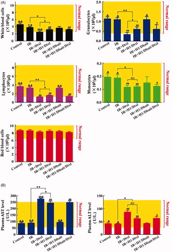 Figure 6. Haematologic toxicity and hepatotoxicity of NP H1/Dbait/Dtxl. (A) Effect of H1/Dbait/Dtxl on white blood cells, lymphocytes, granulocytes, monocytes and red blood cells. (B) Effect of H1/Dbait/Dtxl on aspartate aminotransferase and alanine aminotransferase. “#”denotes significant difference existed between control group and the labelled groups, #p < .05, ##p < .01; “&” denotes significant difference existed between control group and the labelled groups, &p < .05, &&p < .01; “ns” denotes statistical non-significance; *p < .05, **p < .01, n = 3.