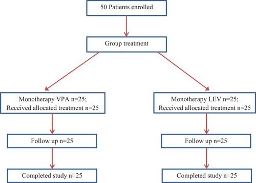 Figure 1 Flow chart for patient disposition.