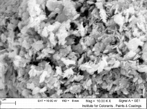 Figure 3. SEM image of nanocrystalline MgO.
