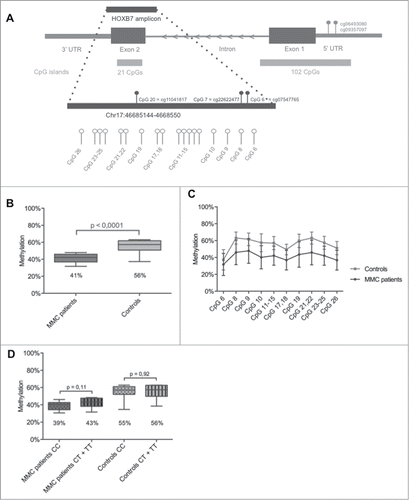 Figure 1. HOXB7 methylation studies by Sequenom EpiTYPER in MMC patients. (A) Localization of the studied amplicon (Chr17:46,685,144–46,685,550) within HOXB7 Exon 2. The amplicon covers 26 single CpGs and our assay provides data on 10 analytical CpG units. Nucleotide positions accord to the NCBI build 37/hg19. The CpG units studied by 450K Array (cg11041817, cg22622477 and cg07547765) and the in silico analysis (cg06493080, cg09357097) are also indicated. (B): Boxplot representing the methylation pattern of MMC patients and controls with box = 25th and 75th percentiles; bars = min and max values. The mean methylation level of each group is shown below the plot. (C): Methylation pattern for each CpG unit within the amplicon. Wilcoxon Rank-Sum test was performed. (D): Boxplot representing the methylation pattern of MMC patients and controls divided according to MTHFR 677C>T genotype with box = 25th and 75th percentiles; bars = min and max values. The mean methylation level of each group is shown below the plot.