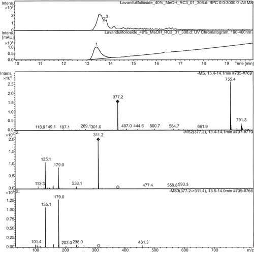 Figure 12.  HPLC/LC-MS analysis of lavandulifolioside.