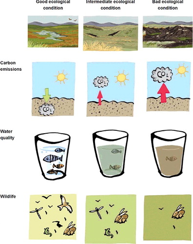 Figure 1. Peatland ecological conditions and associated ecosystem service impacts – overview table shown to respondents.