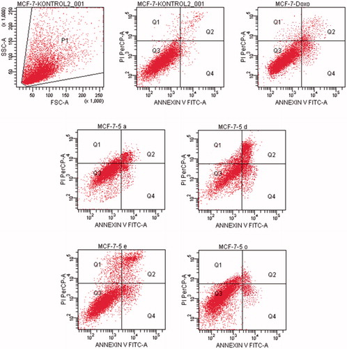 Figure 8. The flow cytometric analysis diagram of compounds 5d, 5e, 5o and doxorubicin for MCF-7 cell line.