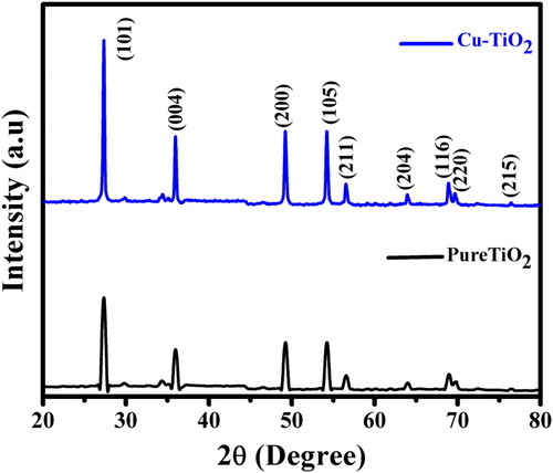 Figure 1. Comparison of the powdered XRD patterns of pure TiO2 and Cu-TiO2.