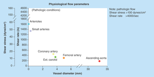 Figure 2.  Vessel wall shear rates and corresponding shear stresses under normal physiological and pathological (stenosis) conditions.