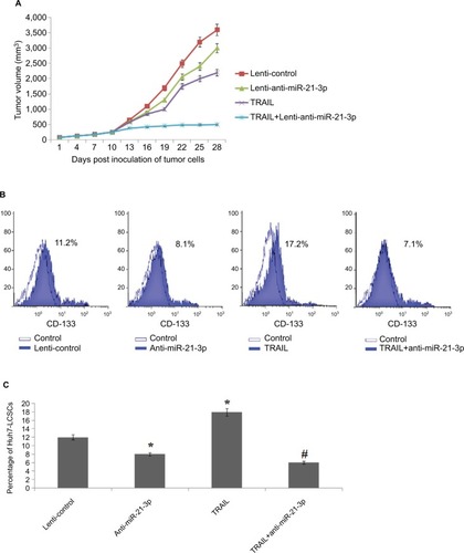 Figure 3 Suppression of miR-21-3p enhances the antitumor activity of TRAIL on liver cancer in vivo.Notes: (A) Volume of Huh-7 cell-induced tumors in vivo was measured after every 3 days with or without transfection of anti-miR-21-3p and exposure to TRAIL. (B) Results of flow cytometry for evaluation of cell population of Huh-7-LCSCs in tumor cells in vivo. (C) Suppression of miR-21-3p halted the effect of TRAIL on increasing the Huh-7 cell population in vivo. *P<0.05 compared to the lenti-control group; #P<0.05 compared to the TRAIL group.Abbreviations: LCSCs, liver cancer stem cells; TRIAL, TNF-related apoptosis-inducing ligand.