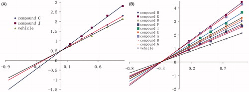 Figure 7 Double reciprocal plots for inhibitory analysis of α-glucosidase by xanthones. (A) Inhibitory characteristics of compounds C and J. (B) Inhibitory characteristics of compounds H, K, D, F, I, E, A, B, and G. α-Glucosidase (0.2 unit/mL) was treated with compounds for 15 min at 37 °C and then 20 μL of PNPG (1.25, 1.67, 2.5 3.75, or 8.33 mmol/L) was added to initiate the enzyme reaction. The enzyme reaction was performed by incubating the mixture at 37 °C for 15 min.