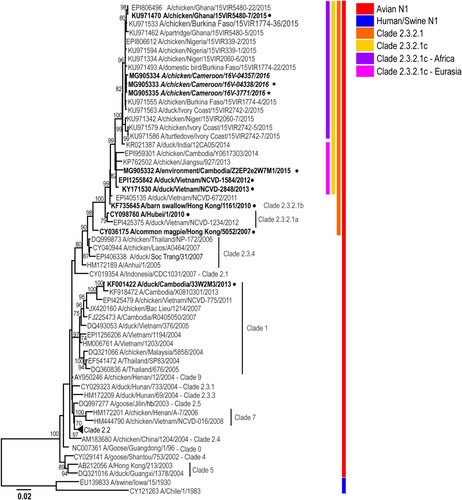 Figure 3. Phylogenetic analysis of the A(H5N1) neuraminidase (NA) genes from representative viruses from Cameroon. The phylogenetic tree was generated using the maximum-likelihood method. Bootstrap values (n = 500) > 70 are shown. Scale bars indicate substitutions per site. Sequences from representative Cameroonian strains included in the study are indicated in bold and italic. Other control strains are indicated in bold. Representative Cameroonian isolates used for antigenic analysis are indicated with black stars while control strains are indicated with black circles.