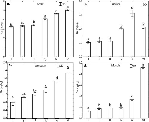 Figure 6. One-way ANOVA and subsequent Tukey’s test for copper concentration in liver tissues (a), serum (b), intestines (c), and muscle tissues (d) in chicken. Statistical differences (P ≤ .05) are marked with different letters. I – control group, II–VI – experimental groups.