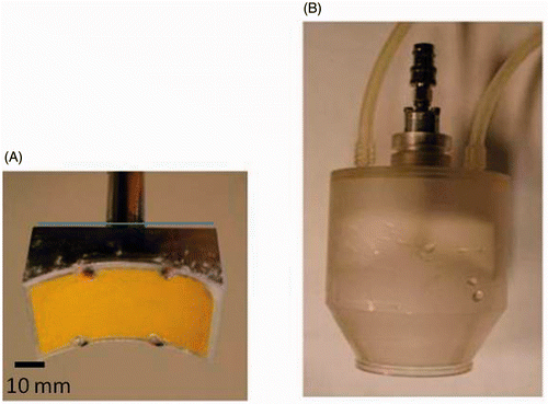 Figure 1. (A) The SonoKnife transducer. (B) The housing. The transducer within the acrylic housing can be moved up and down for adjusting the location of the focal plane. Degassed water at 8°C is circulated in the housing to cool the transducer during sonication.