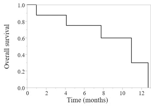 Figure 1 Overall survival of TC chemotherapy.