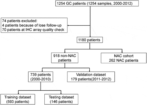 Figure 1. Outline of the overall study flow. Assignment of gastric cancer patients into subgroups based on surgery times and treatments to construct and validate the prognostic classifier. Patients were divided into training, testing, and validation set and NAC cohort.