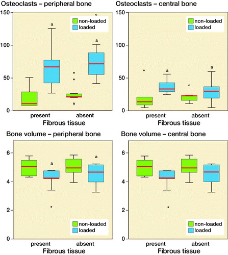 Figure 4. Number of osteoclasts and bone volume in the peripheral and central cortical bone. The results are subdivided based on the presence of the fibrous tissue. Blue-colored boxes indicate loaded specimens, while green-colored boxes refer to non-loaded specimens. aindicates p < 0.05. Red lines are median, boxes IQR, and whiskers ±1.5 x IQR.