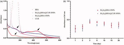 Figure 1. (a) UV-vis Spectra of BSA, CUR, Bi2S3@BSA HNPs and Bi2S3@BSA@CUR HNPs; (b) Absorbance of Bi2S3@BSA HNPs and Bi2S3@BSA@CUR HNPs at 261 nm for monitoring the stability.