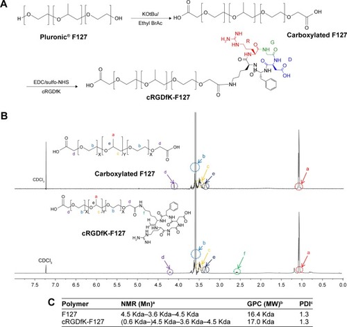 Figure 2 (A) Overall scheme for the synthesis of cRGD-conjugated F127. (B) 1H-NMR spectra of carboxylated F127 and cRGD-conjugated F127. (C) Characteristics of block copolymer by 1H NMR and GPC. aNumber average molecular weights are determined from the integration ratio of PPO segments at 1.1 ppm and to that of PEO segments at 3.6 ppm and RGD segments at 2.1 ppm in the 1H-NMR. b,cWeight average molecular weight and PDI were measured by GPC.Abbreviations: cRGD, cyclic arginine-glycine-aspartic acid tripeptide; EDC, 1-ethyl-3-(3-dimethyl aminopropyl) carbodiimide hydrochloride; GPC, gel permeation chromatography; MW, molecular weight; NHS, N-hydroxysulfosuccinimide; NMR, nuclear magnetic resonance; PDI, polydispersity index; PEO, Poly (ethylene oxide); PPO, Poly (propylene oxide); RGD, arginine-glycine-aspartic acid.