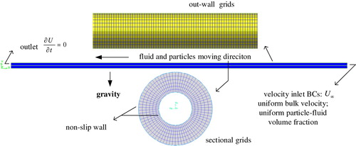 Figure 8. Verification model and mesh.