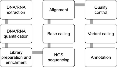 Figure 1 NGS workflow from nucleic acid extraction to variant annotation.