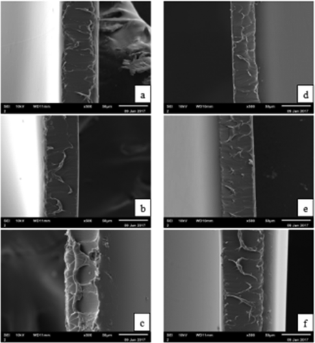 Figure 7. Scanning electron microscopy of the cross-sections of the films. a) RG:4 g + 22%; b) RG:4 g + 30%; c) RG:5 g + 30%; d) PG:4 g + 22%; e) PG:4 g + 30%; f) PG:5 g + 30%.