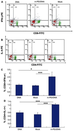 Figure 4 Intracellular cytokine staining of splenocytes after AdV boosting immunization. (A) The CD8+/IFN-γ+ staining. (B) The CD4+/IL-4+ staining results. (C and D) The double-positive percentage of CD8+/IFN-γ+ and CD4+/IL-4+.Notes: The data were represented as mean ± standard deviation of three independent experiments. The double-positive percentage of CD4+/IL-4+ and CD8+/IFN-γ+ of the m-PEI/DNA group was significantly higher than that of the naked DNA group and Mock, *P < 0.05; ***P < 0.005.Abbreviations: AdV, adenovirus; IFN, interferon; PE, polyethyleneimine; DNA, deoxyribonucleic acid; m-PEI/DNA, group primed with a complex of mannosylated polyethyleneimine and DNA plasmid and boosted with AdV; Mock, group primed with empty vector pVAX1 and boosted with AdV; FITC, fluorescein isothiocyanate; IL, interleukin.