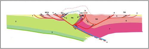 Figure 2. Lithospheric structure of the Eastern Alps along the TRANSALP deep seismic profile: indentation model (CitationCastellarin et al., 2006, modified). (1) Post-collisional outer and inner molasse basins. European lower plate: (2) upper crust and Penninic nappe system (PN) of Tauern Window, (3) lower crust. Oceanic remnants: (4) Ophiolitic Glockner nappe. Adriatic upper plate: Austroalpine Northern Calcareous Alps (NCA) and mainly basement units (AU), Southern Alps (SA): (5) Mesozoic sediments; (6) upper crystalline crust, (7) lower crust. Oligocene igneous bodies: (8) Vedrette di Ries (Rieserferner) pluton. Principal ductile to brittle shear zones and faults: (a) Sub-Tauern ramp, (b) Periadriatic fault, (c) Inntal fault, (d) Valsugana reverse fault, (e) Southalpine frontal thrust. Not to scale.