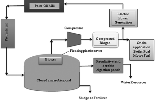 Figure 5. The schematic of closed digestion tank.