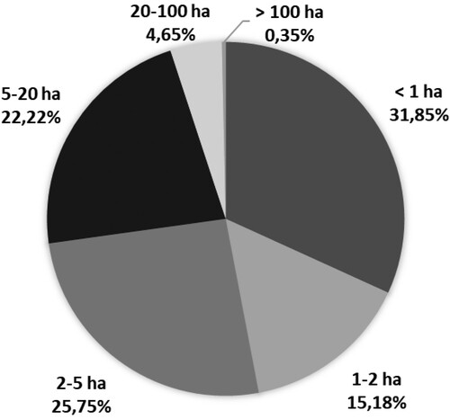 Figure 8 Division of the land in 1930 (according to the number of owners). Source: Calculation based on Otáhal, (Citation1963, p. 250).