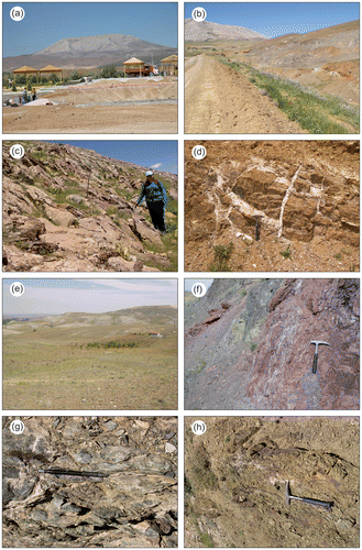 Figure 4. Field views of rock units in the platform and mélange. Loras limestone (a), tectonic relation between Loras limestone and peridotite body (b), pelagic carbonates (Midostepe formation) on the top of the platform (c), serpentinised harzburgite with magnesite veins (d), limestone blocks in the mélange (e), radiolarian cherts and mudstone in the mélange (f), sheared serpentinite in the mélange (g), and volcanogenic sandstone in the mélange (h).