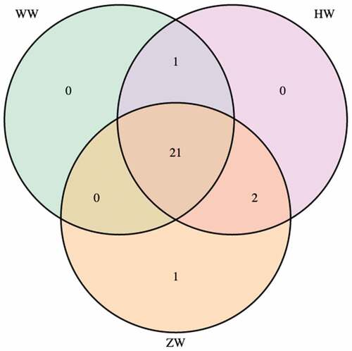 Figure 2. The venn diagrams of phenolic compounds in colored walnuts.