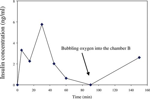 Figure 4. The plot of insulin concentration against the diffusion time in response to a 20 mM glucose challenge in the rat islets.