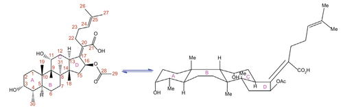 Figure 1 Chemical structure and conformation of fusidic acid (WU-FA-00).