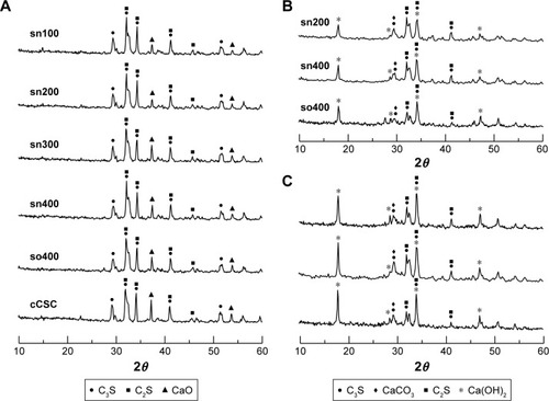 Figure 4 X-ray powder diffraction patterns of conventional calcium silicate cement (cCSC) and sol-gel-derived calcium silicate cements (sCSC), comprising so400, sn400, sn300, sn200, and sn100. Materials in powder form (A), and material hydration for 1 day (B) and 7 days (C).