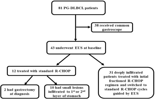 Figure 1 Flow-charts of patients with primary gastric diffuse large B-cell lymphoma (PT-DLBCL) who were treated at our department between October 2011 and October 2018. Eighty-one PG-DLBCL patients were treated during the period. Forty-three patients underwent endoscopic ultrasonography (EUS) at baseline, among whom 12 were treated with standard R-CHOP cycles, and 31 had deeply infiltrated lesions and were initially treated with fractioned R-CHOP regime and were then switched to standard R-CHOP cycles guided by EUS.