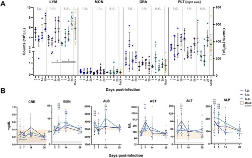 Figure 1. Reduced circulating lymphocytes and altered clinical serum chemistry of Natal multimammate mice after LASV infection. (A) Lymphocyte (LYM), monocytes (MON), granulocyte (GRA) and platelet (PLT) concentrations were measured from whole blood samples. Results are displayed as means (bar)±SD and individual biological replicates (n = 3–6). The mock-infected group pools mock-infected animals of different infection routes. (B) Sera of i.n.-, s.c.- and i.p.-inoculated animals were sampled at 3, 7, 14, and 28 dpi. Data presented for CRE, BUN, ALB and ALP as mean (line) ±SD; for AST and ALT as geometric mean (line) ±SD, biological replicates (n = 3–6), pooled mock mean ±SD (orange striped area); detection limit (grey area). Statistical differences of LASV-inoculations against pooled mock-infected group are indicated by *p < 0.05, **p < 0.01 and ns (non-significant), determined by Dunn’s multiple comparisons.