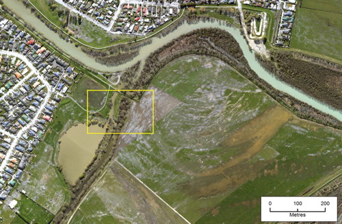 Figure 3. Liquefaction (sand boils, cracking/lateral spread and fissures) east of Kaiapoi, September 2010. The alignment of sand boils and fissures (grey sediment/ejecta) relates to an in-filled former channel of the Waimakariri River (Wotherspoon et al. Citation2012). Image is NZAM 05/09/2010; centre of view approximately 1573200, 5195800 (NZTM). Rectangle indicates location of detail shown in Figure 4.