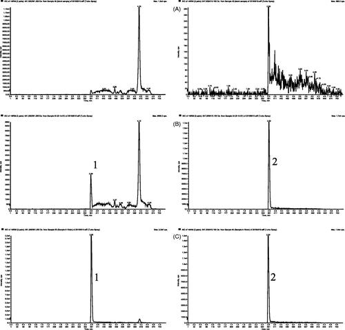 Figure 3. Representative MRM chromatograms of 1 D (1) and IS (2) in rat plasma samples: (A) blank plasma sample; (B) blank plasma sample spiked with 1 D (5 ng/mL, LLOQ) and IS (400 ng/mL); and (C) plasma sample at 10 min after an intravenous administration of 5 mg/kg 1D.