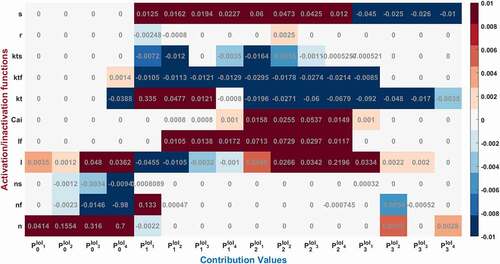 Figure 4. Contribution results after the simulations are defined as a heatmap between −0.01 and 0.01. Each phase (P0,1,2,3) is divided into four equal interval of interests (IoI1,2,3,4) calculated as aggregated epochs. Each time dependent function in the model that has a role to shape cardiac action potential is measured and their roles are quantified in the table