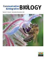 Cover image for Communicative & Integrative Biology, Volume 4, Issue 6, 2011