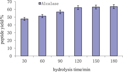 Figure 2. The peptide yield with different hydrolysis time.Figura 2. Rendimiento del péptido con diferentes tiempos de hidrólisis