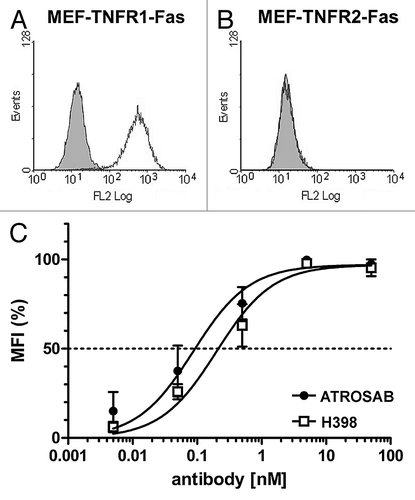 Figure 2 Flow cytometry analysis of binding of ATROSAB to mouse embryonic fibroblasts (MEF) transfected with human TNFR1-Fas (A) or human TNFR2-Fas (B). (C) Titration of binding of ATROSAB and H398 to MEF-TNFR1-Fas (n = 3).