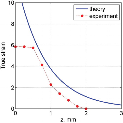 Figure 4. The simulated and experimental true strain distributions (see our previous work [Citation6]) during HPT compaction of iron powder at a distance of 9.61 mm from the sample axis after a rotation of π/2.