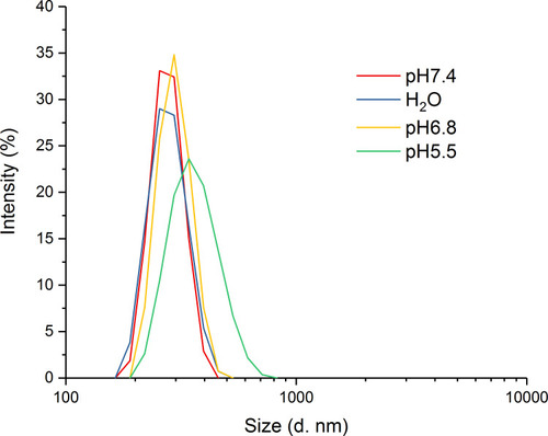 Figure 2 The particle size distribution of the nanogel in H2O and PBS solutions (pH 7.4, 6.8 and 5.5).
