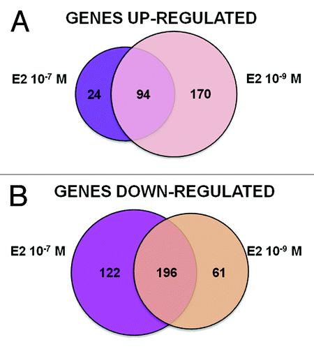 Figure 2. Graphical overview of E2 treatment-specific transcriptome changes. Differentially expressed genes (DEGs) were identified by Agilent microarray feature extraction, bioinformatics and statistical analyses, as described in the “Materials and Methods” section. Presented are Venn diagrams showing the number of upregulated (A) or downregulated (B) DEGs specific or in common between the different treatments with E2, 10−9 M and 10−7 M.