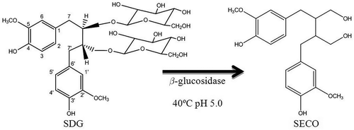 Figure 2. Enzymatic hydrolysis with β-glucosidase to produce SECO from SDG.Figura 2. Hidrolisis enzimatica con β-glucosidasa para producir SECO desde SDG.