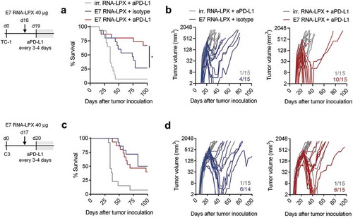 Figure 4. E7 RNA-LPX immunization synergizes with checkpoint-blockade by rendering anti-PD-L1 refractory tumors responsive (a, c) Survival and (b, d) tumor growth kinetics of (a, b) TC-1 or (c, d) C3-bearing mice (n=14–15/group) immunized with E7 RNA-LPX or irrelevant (OVA257-264) RNA-LPX on day 16 or day 17 respectively and treated with anti-PD-L1 (aPD-L1) antibody or isotype control from day 19 or day 20 onwards every 3 to 4 days. The average size of TC-1 tumors was ~48 mm3 and of C3 tumors at ~157 mm3 at start of treatment. Representative data is shown for two (each TC-1 and C3) similar, but independent experiments. Significance was determined using (a, c) log-rank test. (b, d) Ratios depict frequency of mice with complete tumor responses.