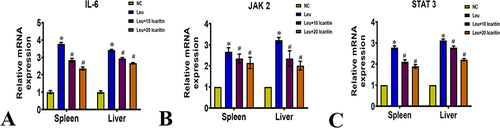 Figure 6 Effect of ICT on IL-6/JAK2/STAT3 in ENU-induced leukemic mice (A) IL-6; (B) JAK-2; (C) STAT 3 in spleen and liver. Data are mean ± SD (n = 6). *P < 0.01 vs normal control, #P < 0.01 vs Leukemic group.